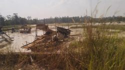 Aktifitas PETI di Pinggiran Pengairan Dan Pinggir Jalan Di Padang Pusing Tembus Tanah Bekali & Pasar Lubuk Landai Hancur Di hajar PETI