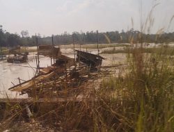 Aktifitas PETI di Pinggiran Pengairan Dan Pinggir Jalan Di Padang Pusing Tembus Tanah Bekali & Pasar Lubuk Landai Hancur Di hajar PETI